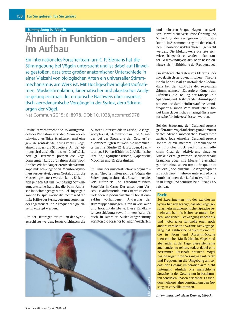 Vorschauseite 1: Stimmgebung bei Vögeln ? Ähnlich in Funktion ? anders im Aufbau