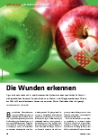 Vorschauseite 1: Die Wunden erkennen