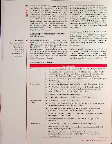 Vorschauseite 4: Gelenkschonend stark Effekte der Time Under Tension
