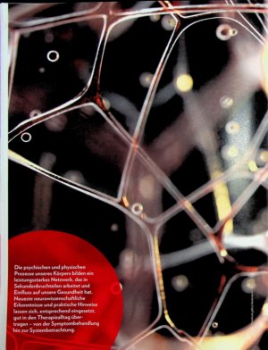 Vorschauseite 1: Das lebende Netzwerk Physische und mentale Gesundheit beginnen im Nervensystem