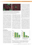 Vorschauseite 2: Quantitative Einblicke und antimikrobielle Toleranz von bakteriellen Mixed-Species-Biofilmen