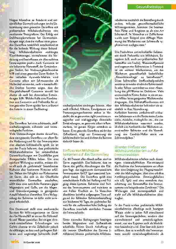 Vorschauseite 2: Immunsystem profitiert: Curcumin plus Probiotika