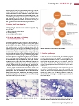 Vorschauseite 2: Thrombopoese (Teil 4) Erworbene Thrombozytopenien