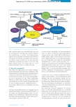 Vorschauseite 4: Case Management als Möglichkeit der Komplexitätsbewältigung