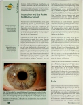 Vorschauseite 2: Iris zeigt Neigung zu Bluthochdruck. Koreanische Wissenschaftler erbringen Nachweis für altes Wissen der Iris-Diagnostiker.