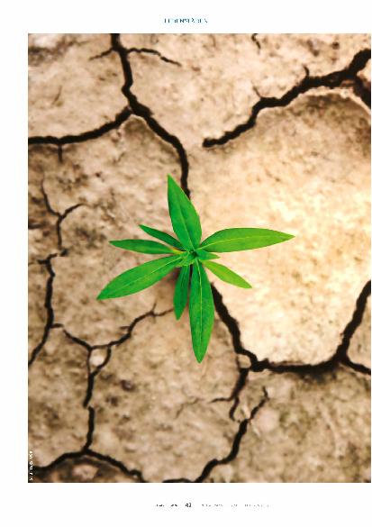 Vorschauseite 1: Wirtschaft zwischen Degrowth und Öko-Wachstum