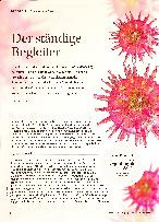 Vorschauseite 1: Der ständige Begleiter