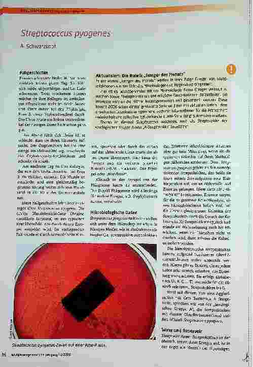Vorschauseite 1: Streptococcus pyogenes