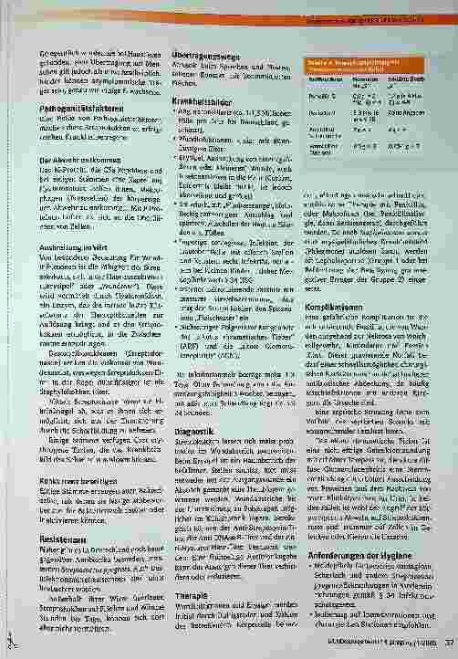 Vorschauseite 2: Streptococcus pyogenes