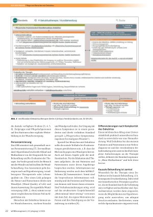 Vorschauseite 3: Pflege von Menschen mit Dekubitus – ein personzentrierter und webbasierter Standard für ein Akutspital