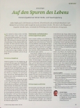 Vorschauseite 1: Auf den Spuren des Lebens: Erinnerungsarbeit als Teil der Sterbeund Trauerbegleitung