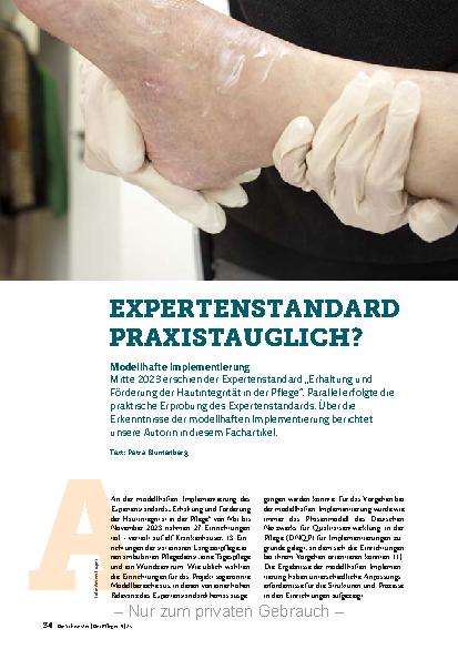 Vorschauseite 1: Expertenstandard Praxistauglich?