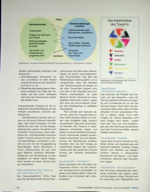 Vorschauseite 2: Trauer verstehen anhand von Modellen