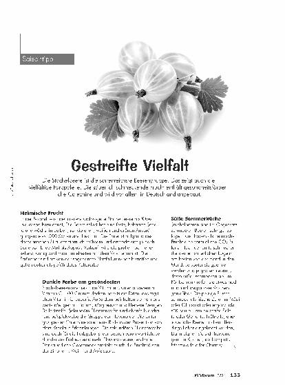 Vorschauseite 1: Corrected: Gestreifte Vielfalt