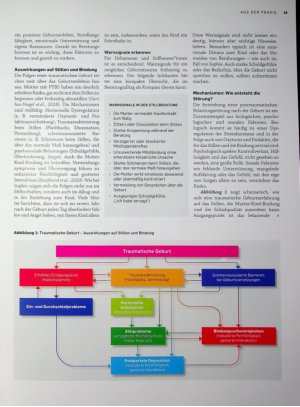 Vorschauseite 2: Bindung und Stillen nach traumatischer Geburt