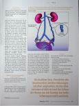 Vorschauseite 2: Das Beckenvenen-Syndrom - der Schmerz, der aus dem Bauchraum kommt