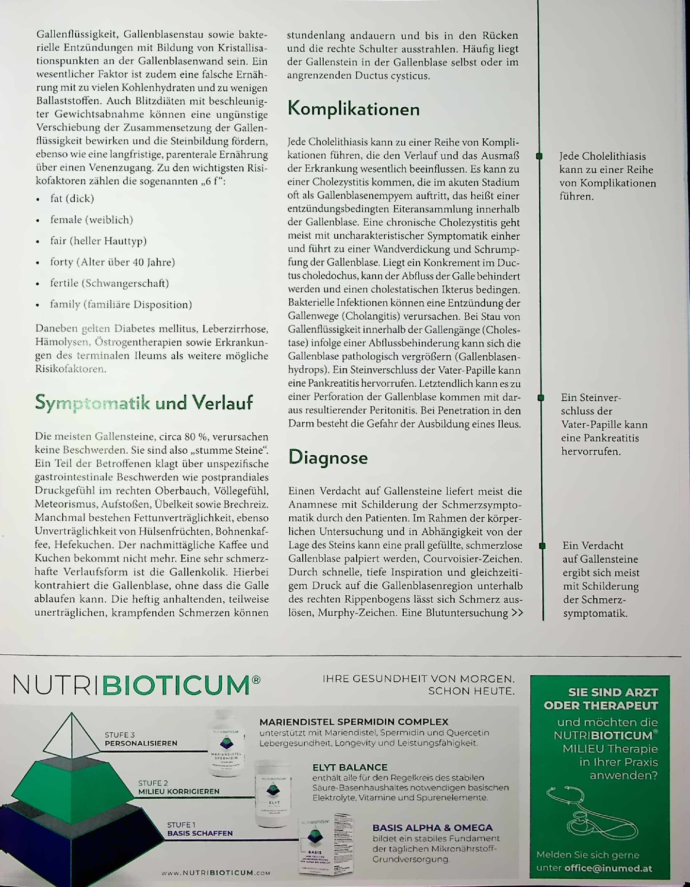 Vorschauseite 2: Steinreich. Ganzheitliche Ansätze bei Cholelithiasis