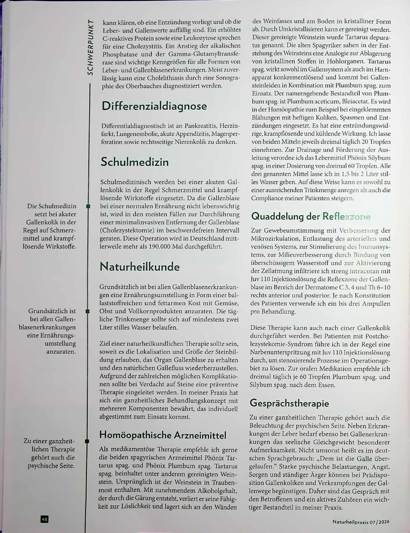 Vorschauseite 3: Steinreich. Ganzheitliche Ansätze bei Cholelithiasis