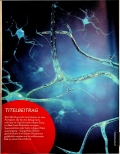 Vorschauseite 1: Multiple Sklerose: Mit Laufbandtraining zum Gleichgewicht?
