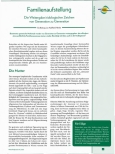 Vorschauseite 1: Familienaufstellung: Die Weitergabe iridologischer Zeichen von Generation zu Generation