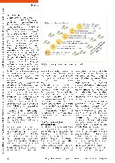 Vorschauseite 3: Was für ein großes Glück! Perspektivwechsel.