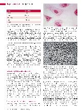 Vorschauseite 3: Toxoplasma gondii. Ein Protozoon aus der Gruppe der Sporozoa.