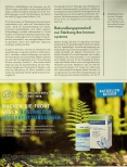 Vorschauseite 2: Moxibustion für ein starkes Immunsystem