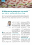 Vorschauseite 1: Wirksamkeitsüberprüfung von Maßnahmen des Arbeitsund Gesundheitsschutzes Teil 1