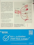 Vorschauseite 4: Angewandte Neurodynamik in der Physiotherapie: Teil 1 Ursprünge und Eckpfeiler