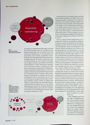 Vorschauseite 2: Zwischen Theorie und Lebenswirklichkeit Körperbildveränderung zwischen Bodyshaming und Bodypositivity im pflegetheoretischen Kontext