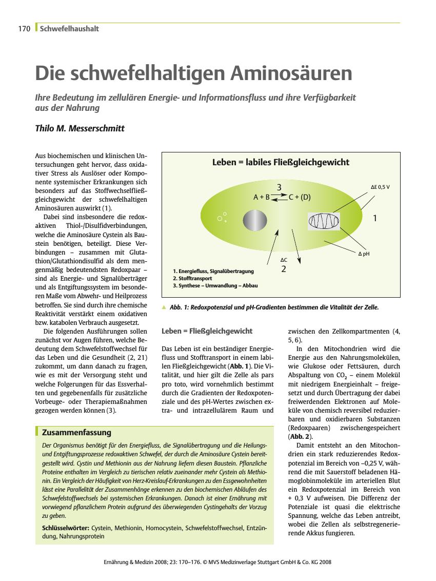 Vorschauseite 1: Die schwefelhaltigen Aminosäuren
