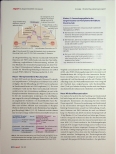 Vorschauseite 2: Ravulizumab bei aHUS und PNH