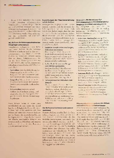 Vorschauseite 2: Reflexe und Trinkverhalten verstehen: Begleitung des unruhigen Säuglings