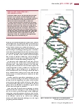 Vorschauseite 2: Die Entwicklung der Epigenetik