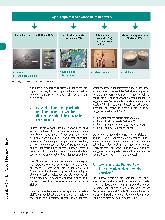 Vorschauseite 3: Handwerkliche Techniken in der Ergotherapie: Handwerk 2.0 alias die Renaissance der Blumenampel?