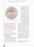 Vorschauseite 2: Schutz von Menschenrechten und Verantwortung für Bedingungen eines guten Lebens mit Pflegebedürftigkeit
