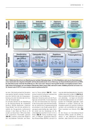 Vorschauseite 6: Synergistische Kombination physik-basierter und daten-getriebener Modelle KI zur nichtinvasiven Lokalisation kardialer Extrasystolen
