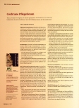 Vorschauseite 1: Cochrane Pflegeforum
