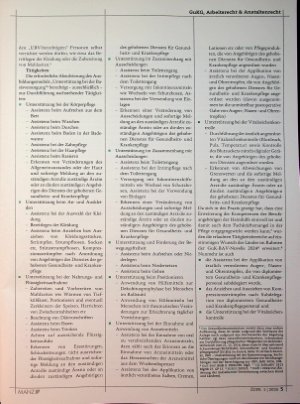 Vorschauseite 3: Der Einsatz von Heimhilfen im Nachtdienst