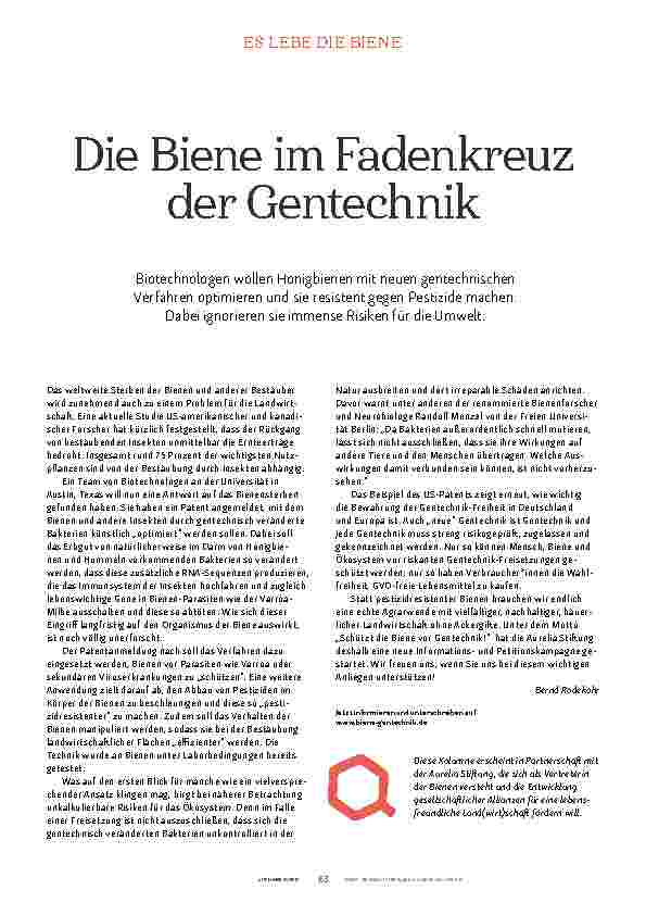 Vorschauseite 1: Die Biene im Fadenkreuz der Gentechnik