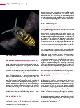 Vorschauseite 3: Allergologie (Teil 8) Krankheitsbilder (III)