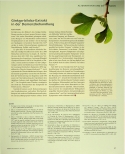 Vorschauseite 6: Traditionelle Chinesische Medizin (TCM) zur Vorbeugung und Behandlung von Demenz
