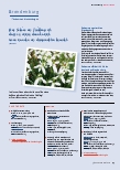 Vorschauseite 6: Nachrichten aus den Landesverbänden