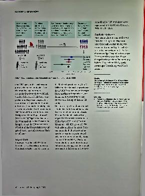 Vorschauseite 2: Wer hat ein erhöhtes Herzinsuffizienz-Risiko unter nichtsteroidalen Antiphlogistika?