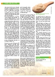Vorschauseite 3: Meerrettich – Heilpflanze des Jahres 2021