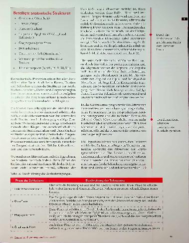 Vorschauseite 2: Haltung bewahren: Einflüsse auf die Biomechanik des Schluckens am Beispiel von M. Parkinson