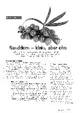 Vorschauseite 1: Sanddorn -klein,aber oho