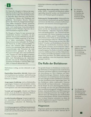 Vorschauseite 2: Innerer Sturm Kampf gegen das metabolische Syndrom