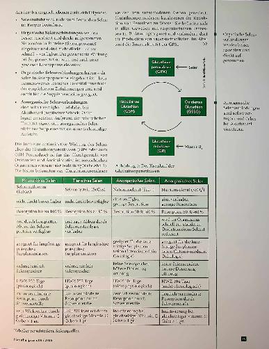 Vorschauseite 2: Gesundheit in der Spur Selen für den Stoffwechse