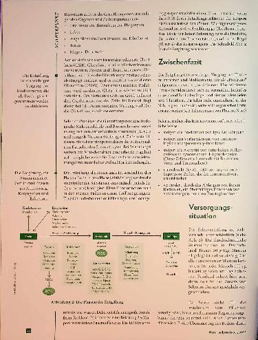 Vorschauseite 3: Gesundheit in der Spur Selen für den Stoffwechse